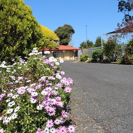 Colonial Motor Inn Pambula Buitenkant foto