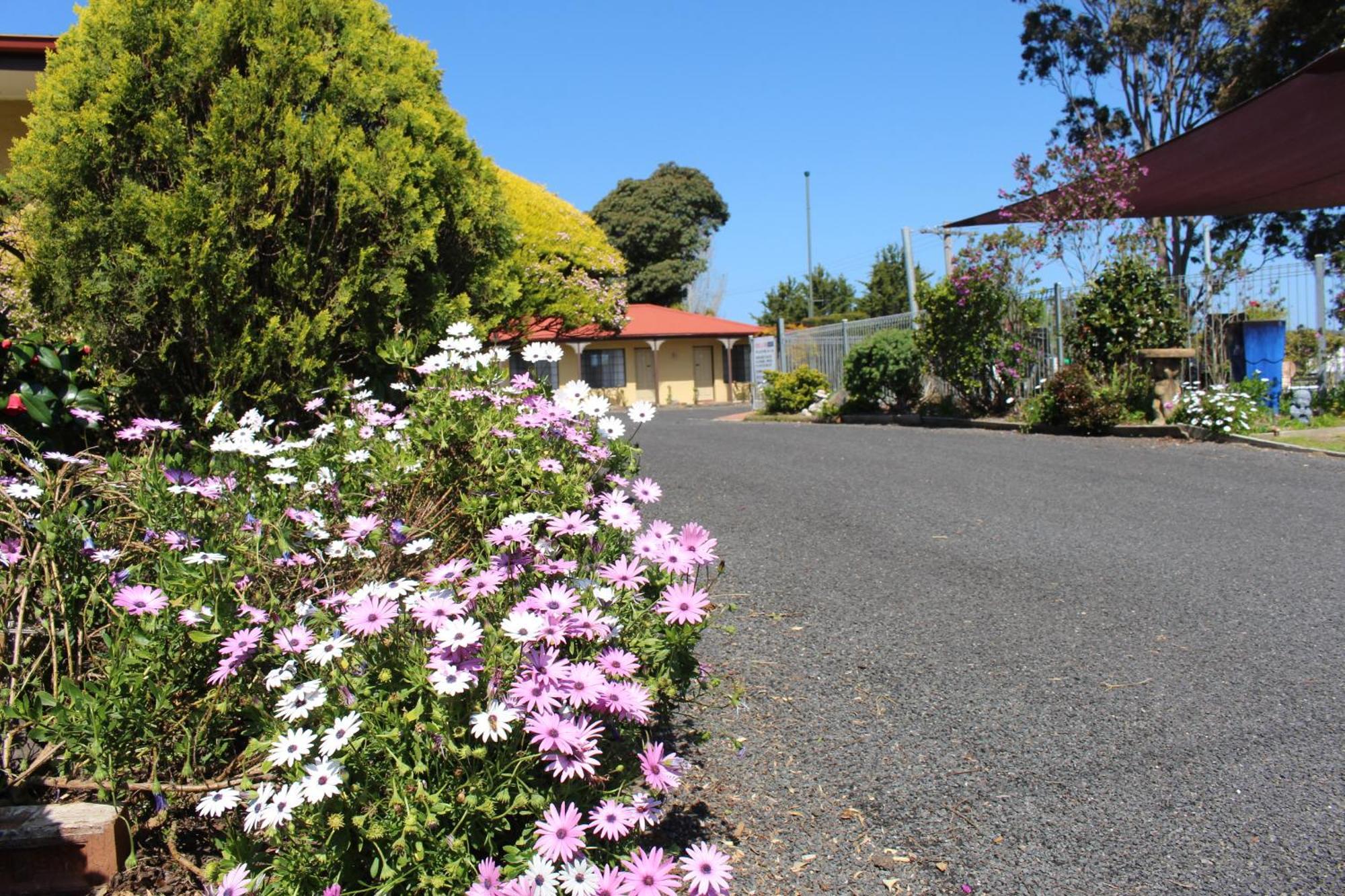 Colonial Motor Inn Pambula Buitenkant foto