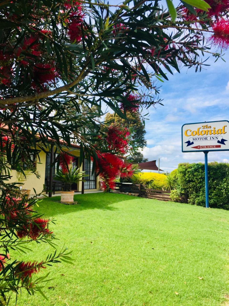 Colonial Motor Inn Pambula Buitenkant foto